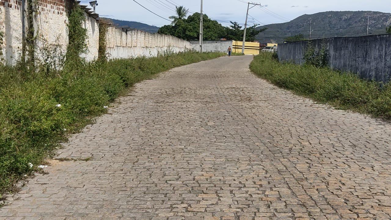 Mato e sujeira tomam conta de vias importantes em Jequié