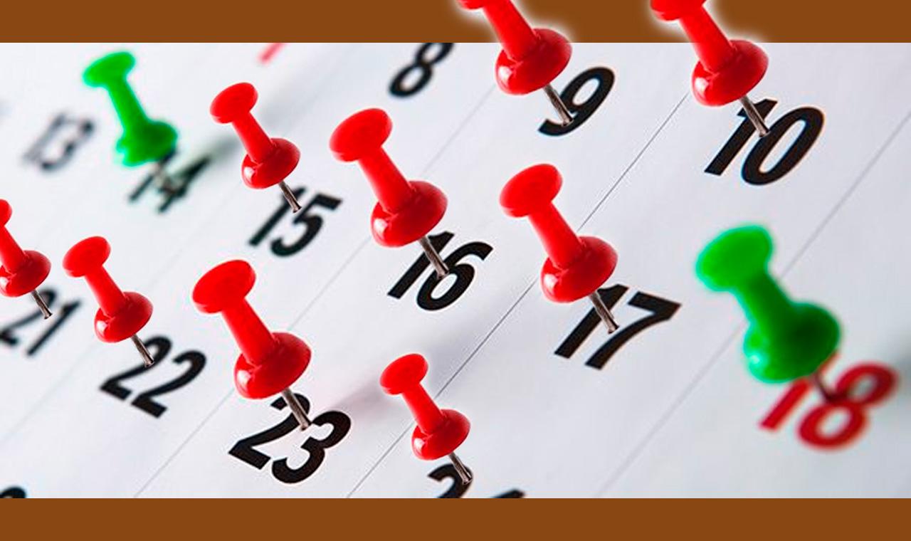 Alegando “falta de agenda” Secretária de Educação recusa convite da APLB 