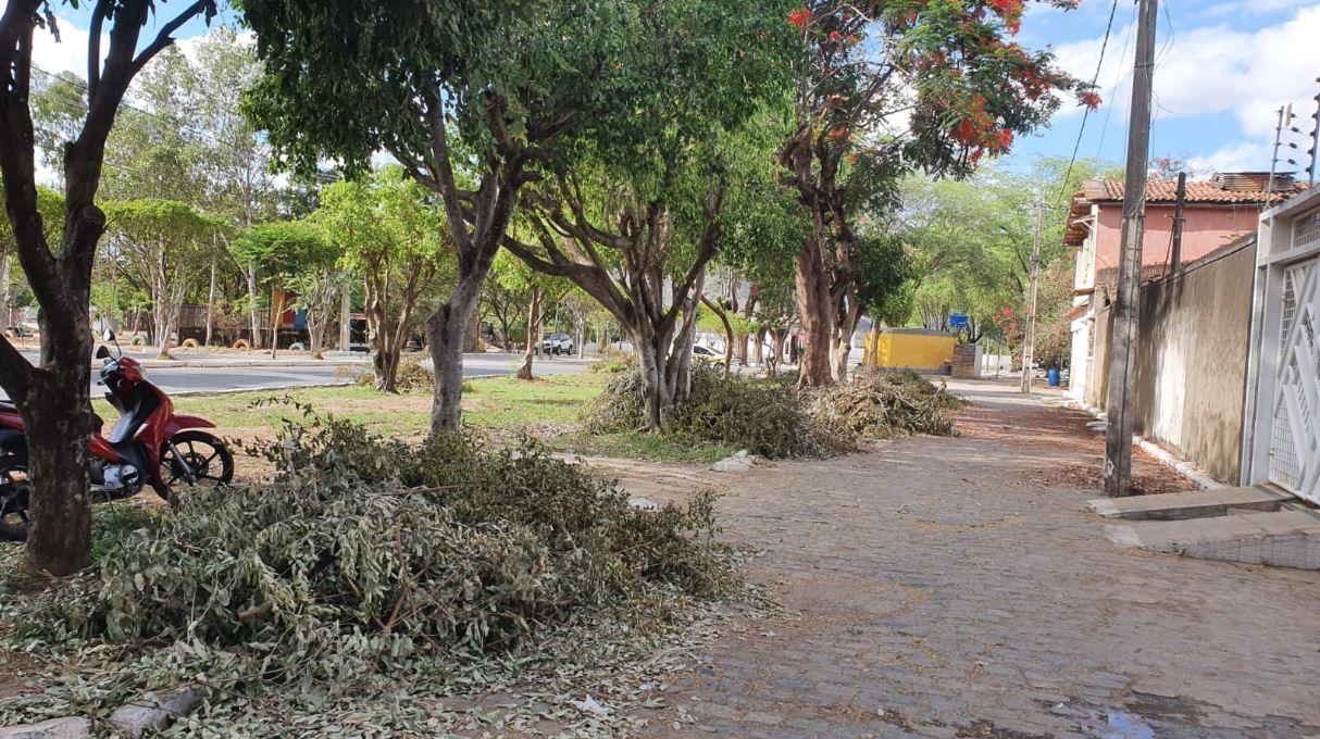 Prefeitura faz podas, mas não recolhe os galhos e folhas
