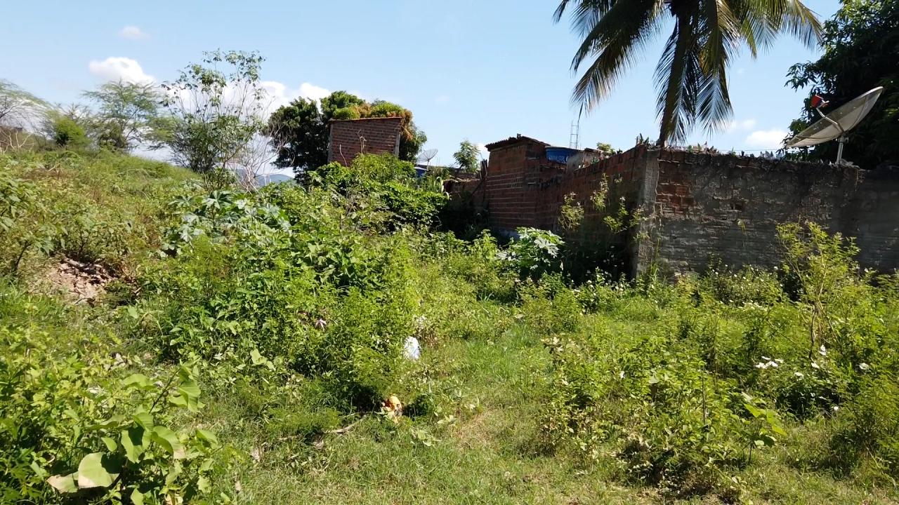 Jequié: Moradores do Alto da Colina denunciam descaso público