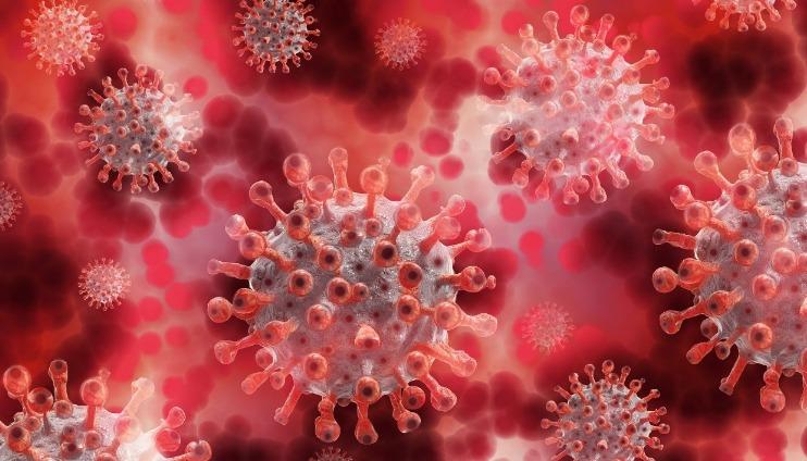 Como atua a milícia digital paga com dinheiro público para defender gestões públicas