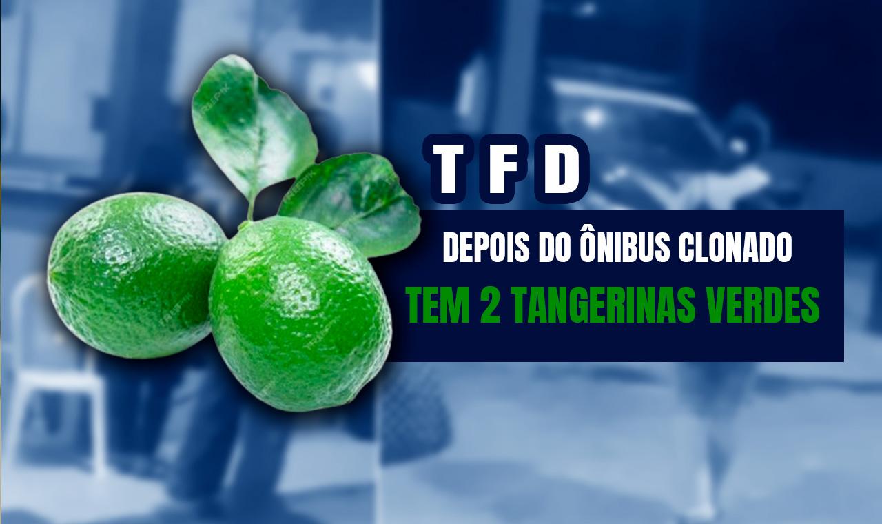 JEQUIÉ : TFD - Depois do ônibus clonado, tem agora 2 tangerinas verdes
