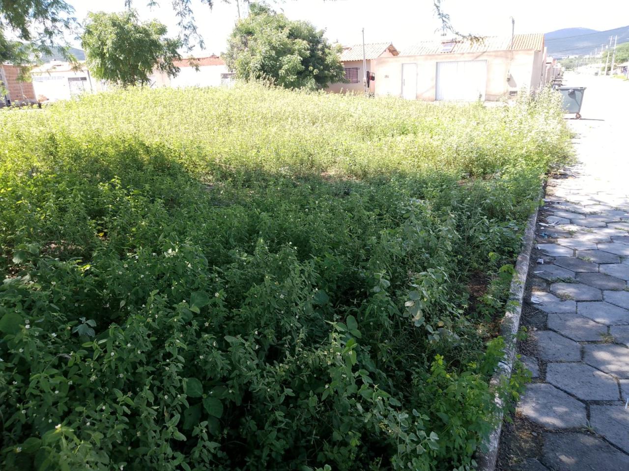 Moradores do Residencial Segredo enfrentam problemas com infraestrutura