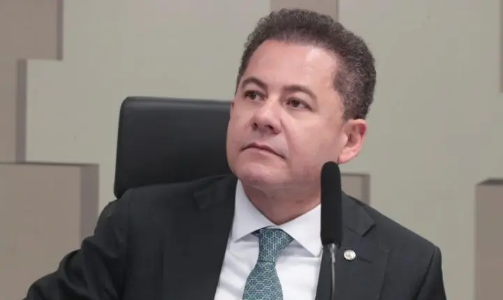 Comissão aprova selo Aeroporto Amigo do Pet para terminais com espaço destinado a cães e gatos